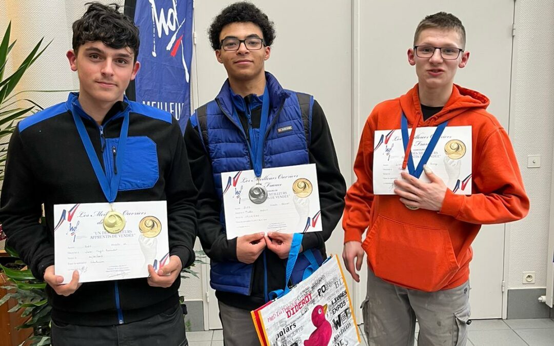 Concours départemental des « Meilleurs Apprentis de France » : médailles d’or, argent et bronze en électricité !